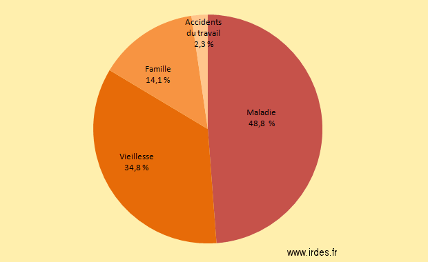 D&eacute;composition du solde du R&eacute;gime g&eacute;n&eacute;ral par risque en 2010 (en %)